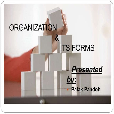 Organization and its forms
