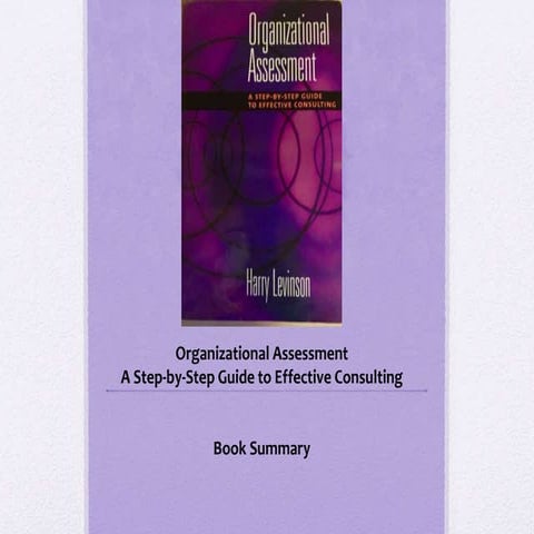 Organization assessment by Harry Levinson