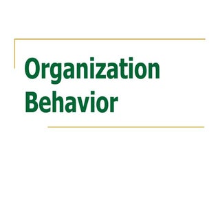 Organization Behavior