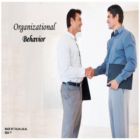 The Nature & Dimensions Of Attitude