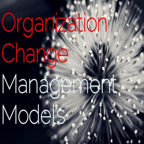 Organization change mgmt models