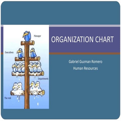 Technology Organization Chart For Hisd | PPTX