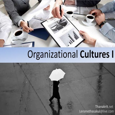 Organizational cultures I