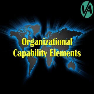 Organizational Capability Elements