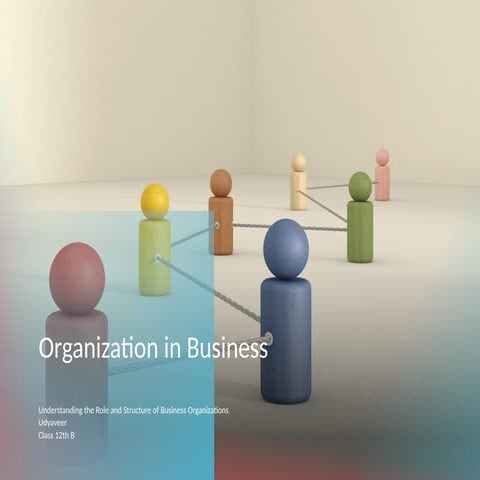 Organization_in_Business_Presentation.pptx