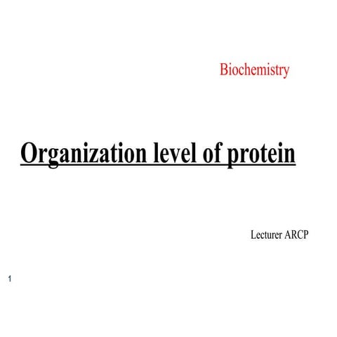 Organization Level (Protein Structure)1 (1) (2).pptx