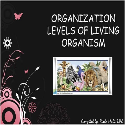 Organization levels of living organism