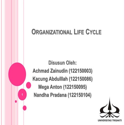 Organization life cycle
