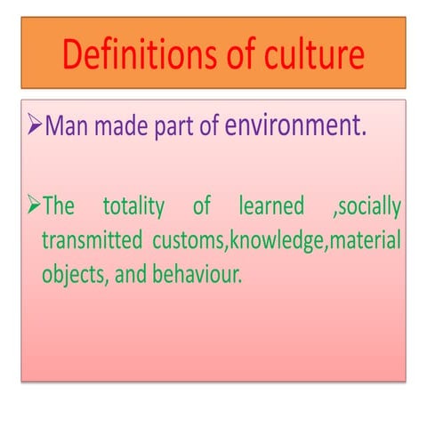 Organization of culture