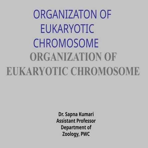 Organization of eukaryotic chromosome.pptx
