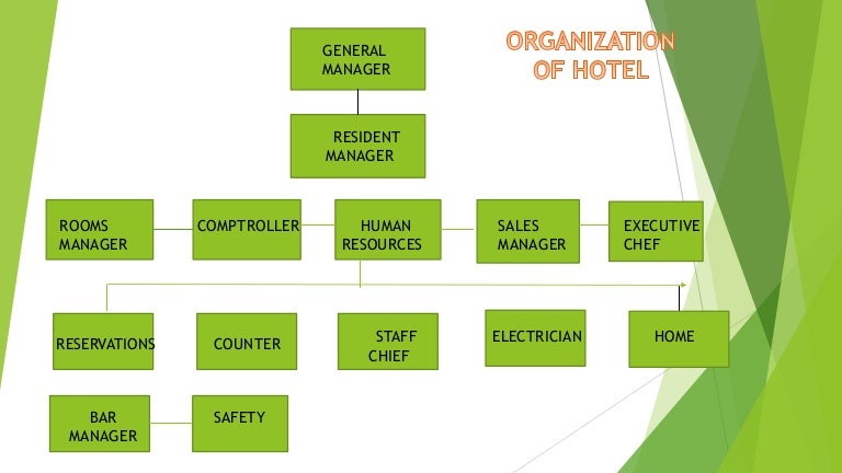 Organization of hotel