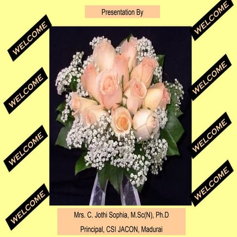 Organization of learning experience