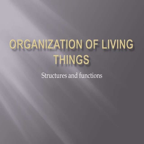 Organization Of Living Things