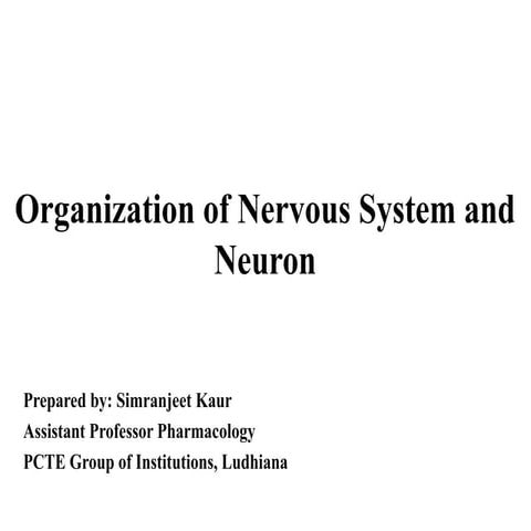 Organization of  nervous system