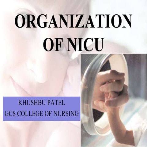 Organization of nicu
