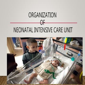 Organization of nicu
