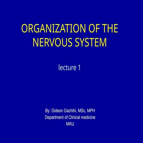 organization of the Nervous System lecture 1..pptx
