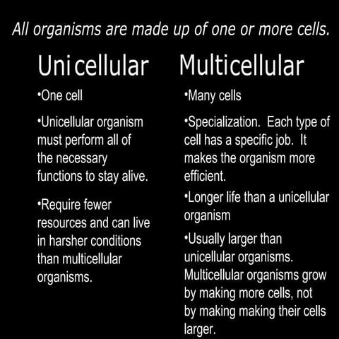 Organization organisms