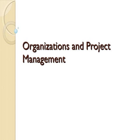 Organizations and Project Management 