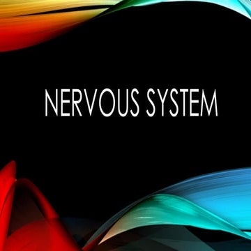 organizations of autonomic nervous systems..pdf