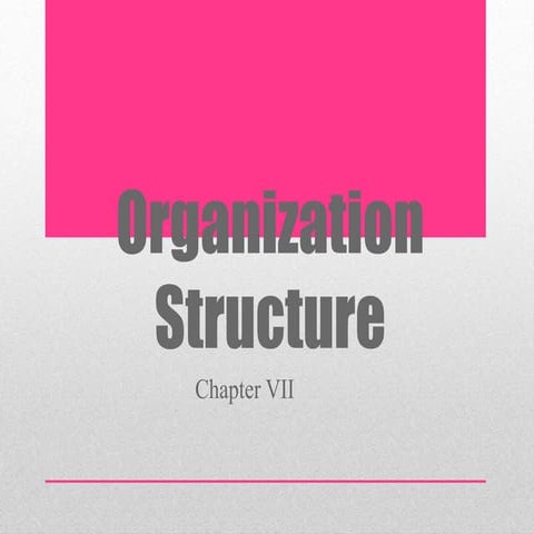 Organization structure