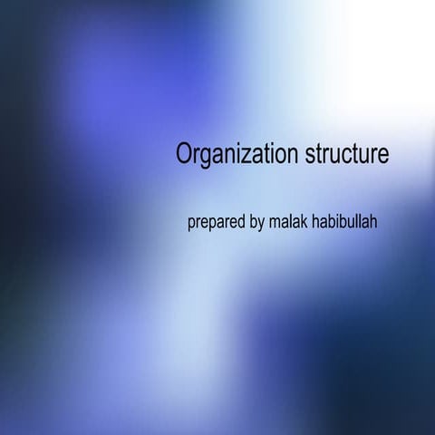 Organization structure and design