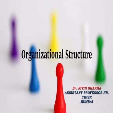 Organization : Organization structure