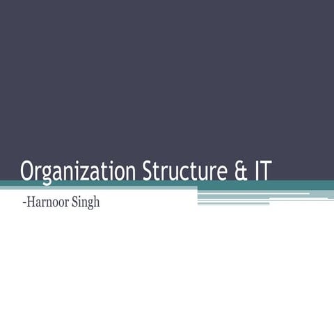Organization structure & IT