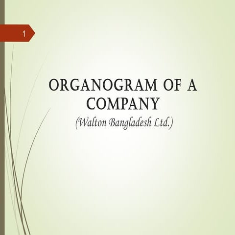 Organogram of a company (Walton Bangladesh Ltd.)