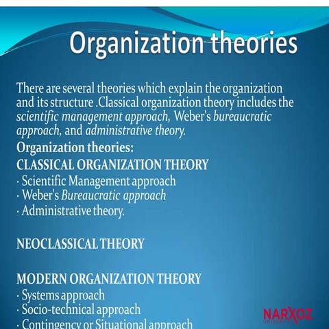organization theories and implications in business