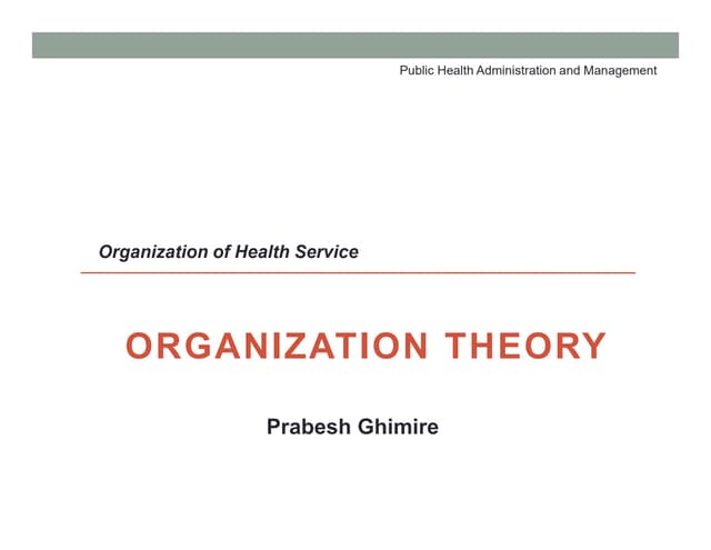 Organization Theory | PDF