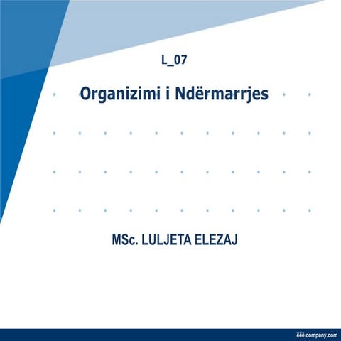 Organizimi i ndermarrjes