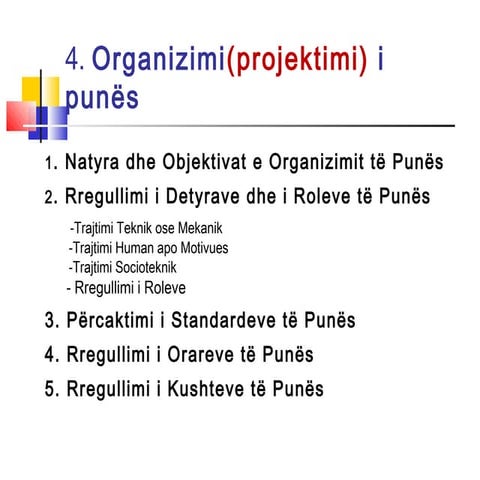 Organizimi i punes MBNJ