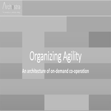 Organizing Agility