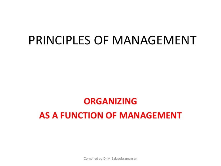 Organizing As A Function Of Management