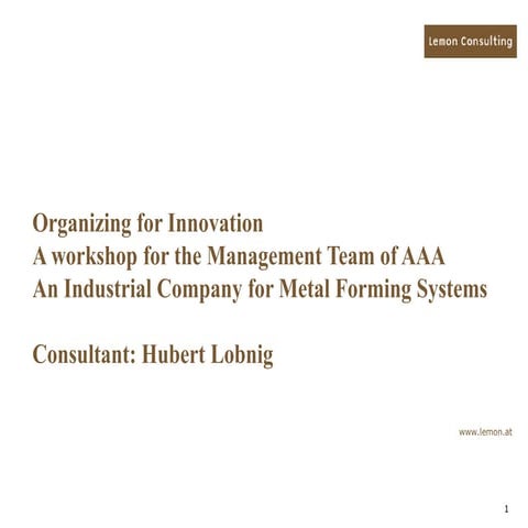 Organizing for Innovation Lemon Consulting