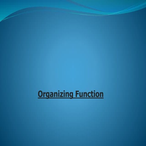 Organizing Function _ Yohannes.pptx