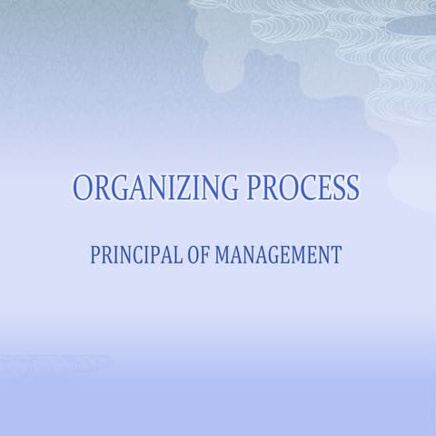 Organizing process