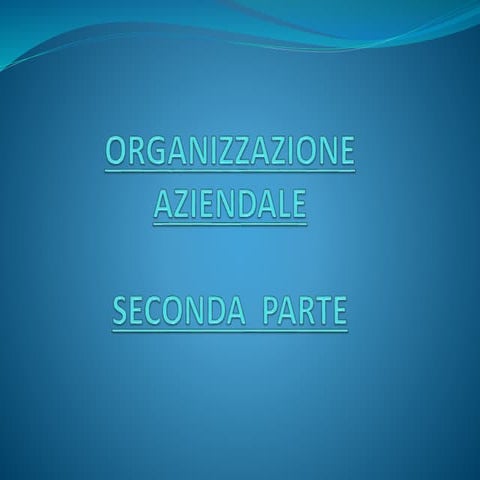 Organizzazione aziendale ii