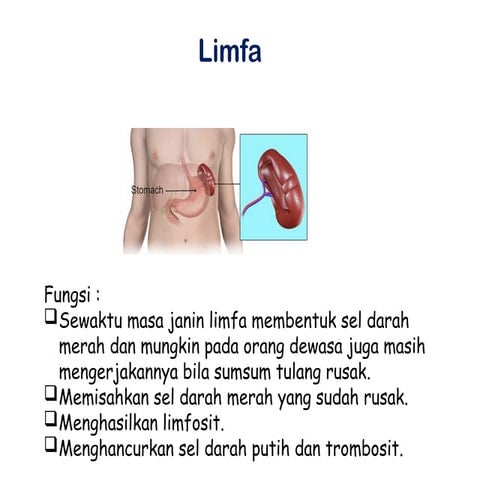 Fungsi Limfa, Nodus Limfa, dan Tonsil dalam Sistem Imun Tubuh | PPTX
