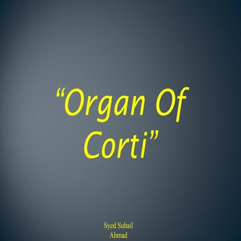 Special Senses - Organ of Corti