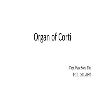 Organ of Corti.pptx