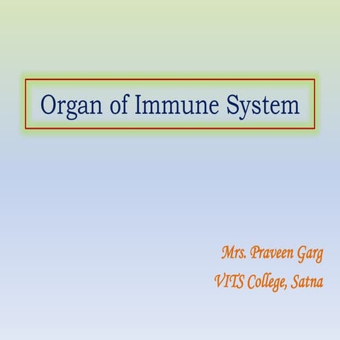 Organ of immune system
