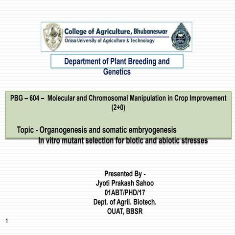 Processing of Guava For Value Addition | PPTX