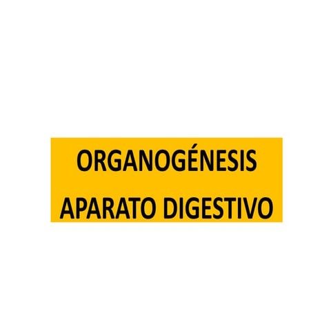 Organogénesis aparato digestivo