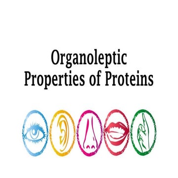 Organoleptic properties of proteins