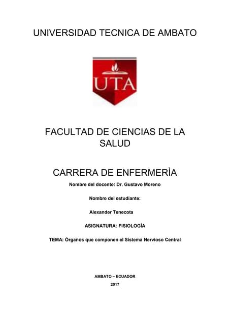 Órganos que componen el Sistema Ner...