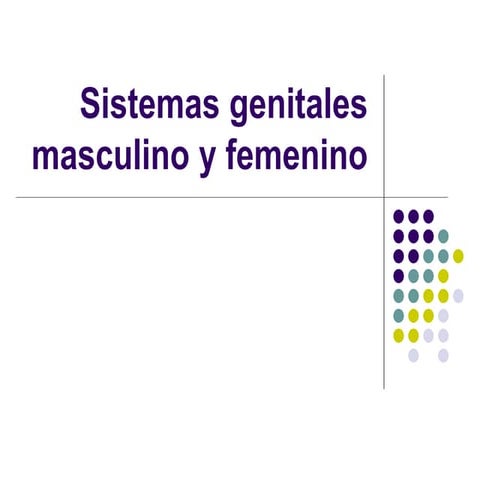 Organos sexuales