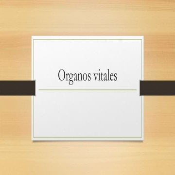 Organos vitales