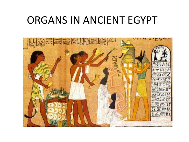 Organs ancient egypt